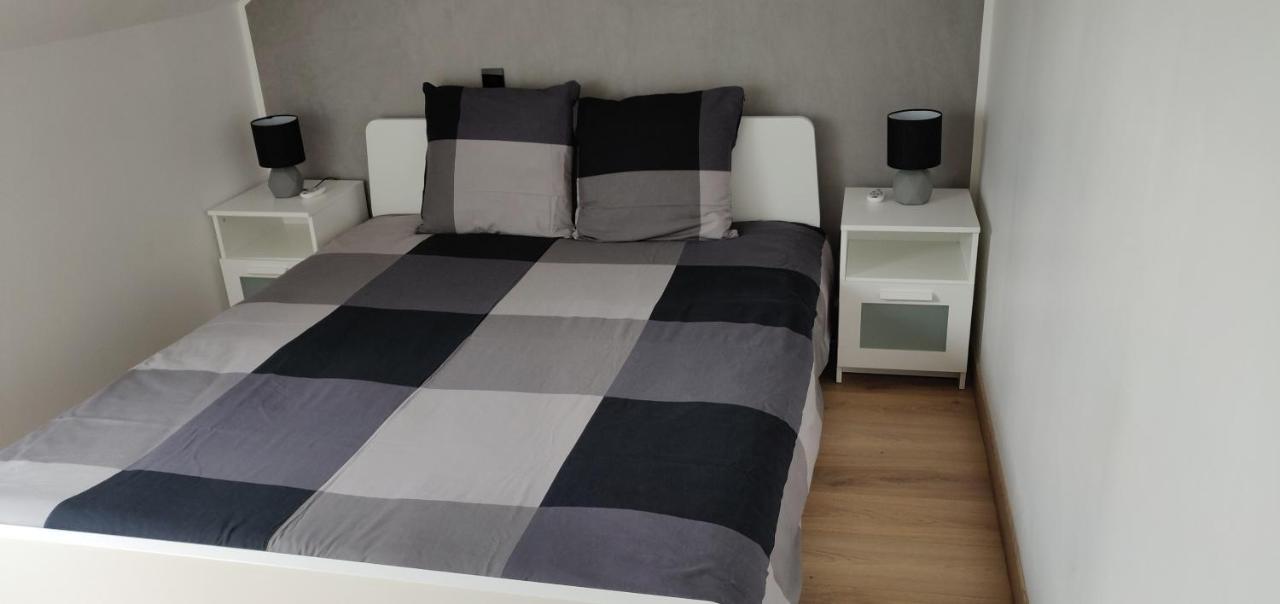 Le Business, Duplex Moderne Special Pro De Passage Apartment Sarreguemines Bagian luar foto