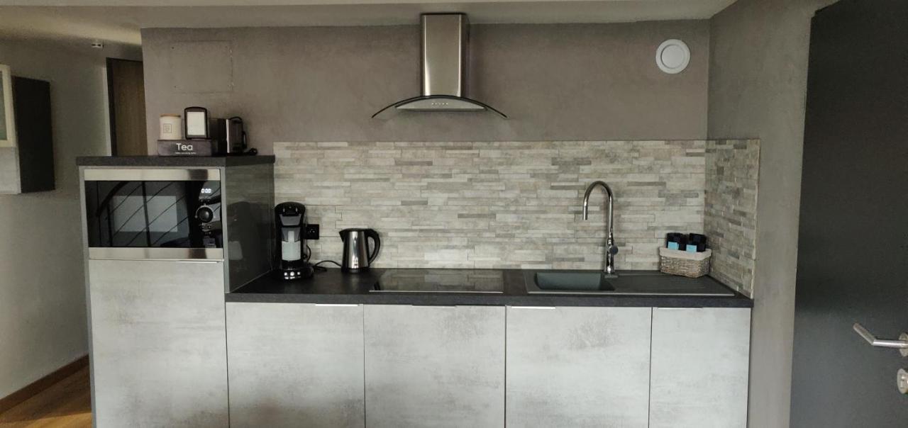Le Business, Duplex Moderne Special Pro De Passage Apartment Sarreguemines Bagian luar foto
