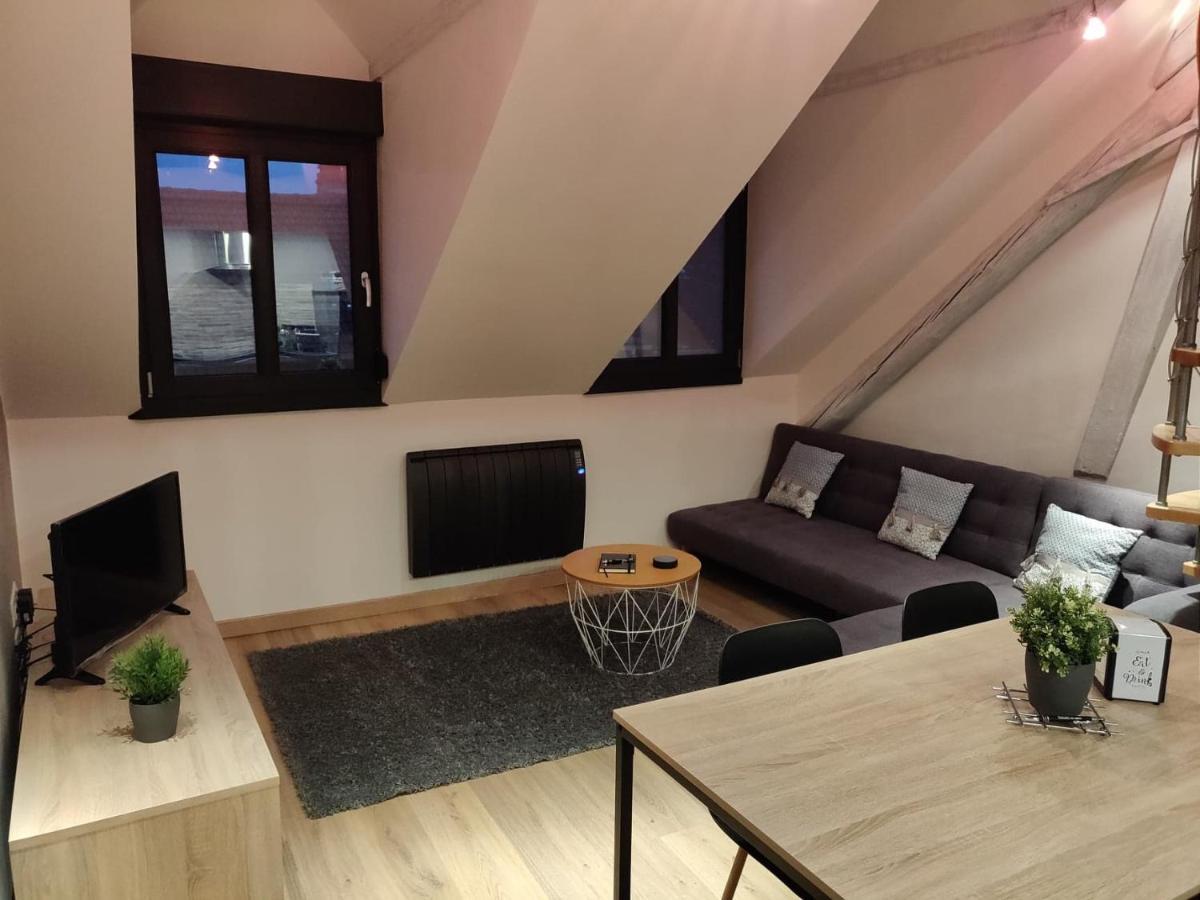 Le Business, Duplex Moderne Special Pro De Passage Apartment Sarreguemines Bagian luar foto